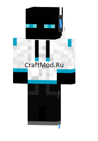 Enderman in a ...
